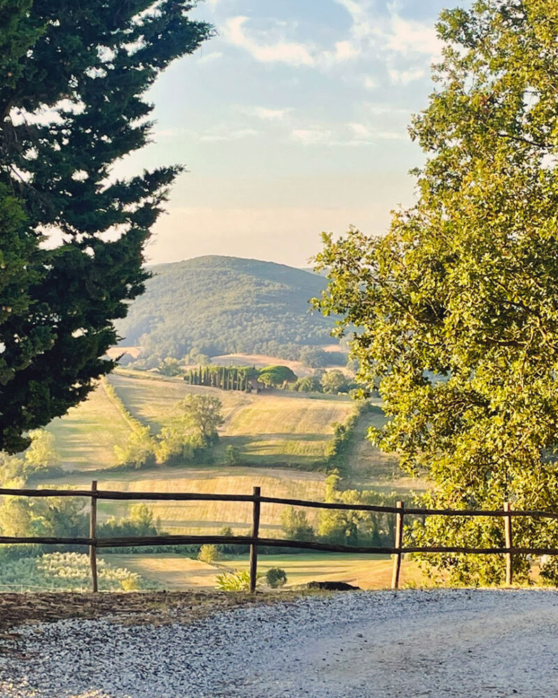 Strada nella campagna toscana tra colline e vigneti vicino alla Tenuta Carpoli