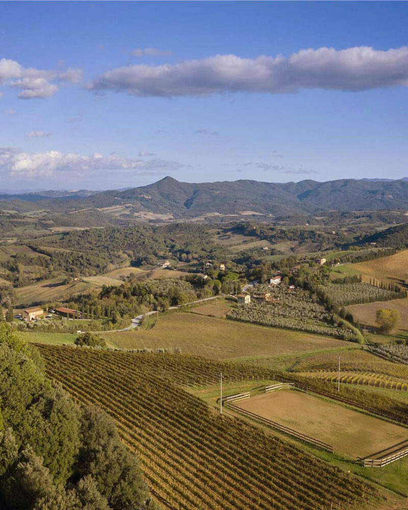 Paesaggio vitivinicolo della Costa Toscana